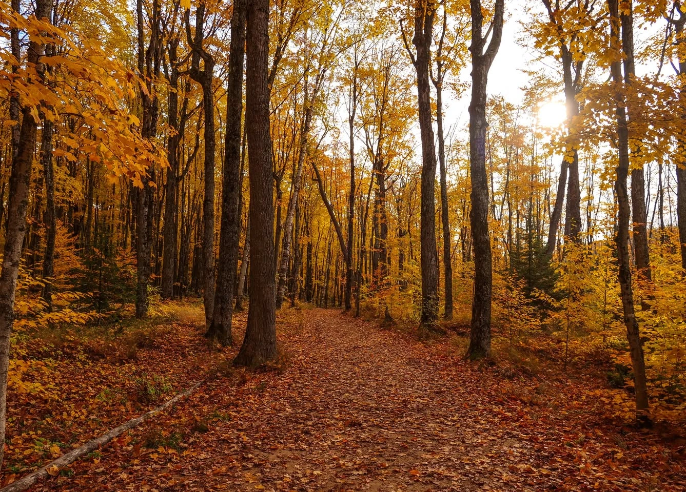 RV Camping Trip to Pictured Rocks in the Fall