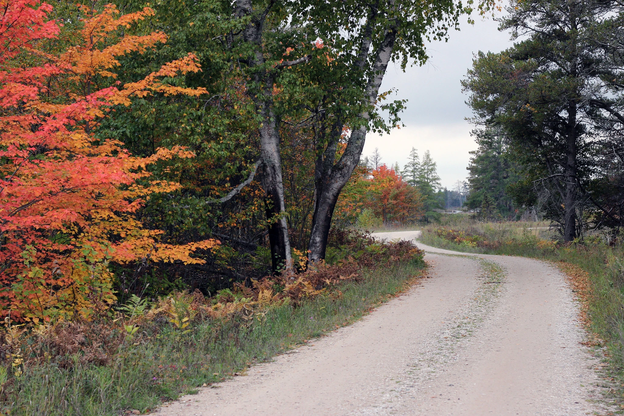 Chase Waterfalls and Enjoy a Scenic Drive